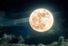 Фото (с) freepik/Alones