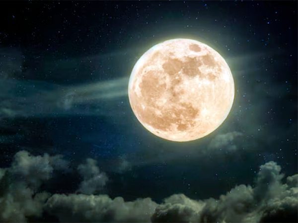 Фото (с) freepik/Alones