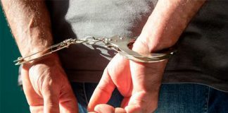 Фото (с) freepik/ancoay