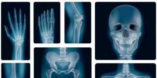 Фото (с) freepik/macrovector