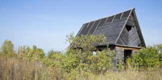 Заброшенный дом и участок. Фото (с) Губкинский городской округ Белгородской области