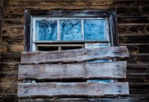 Фото (с) freepik/EyeEm
