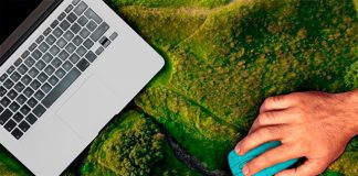 Фото (с) freepik