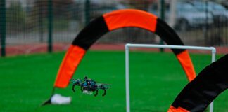 Фото (с) правительство Архангельской области