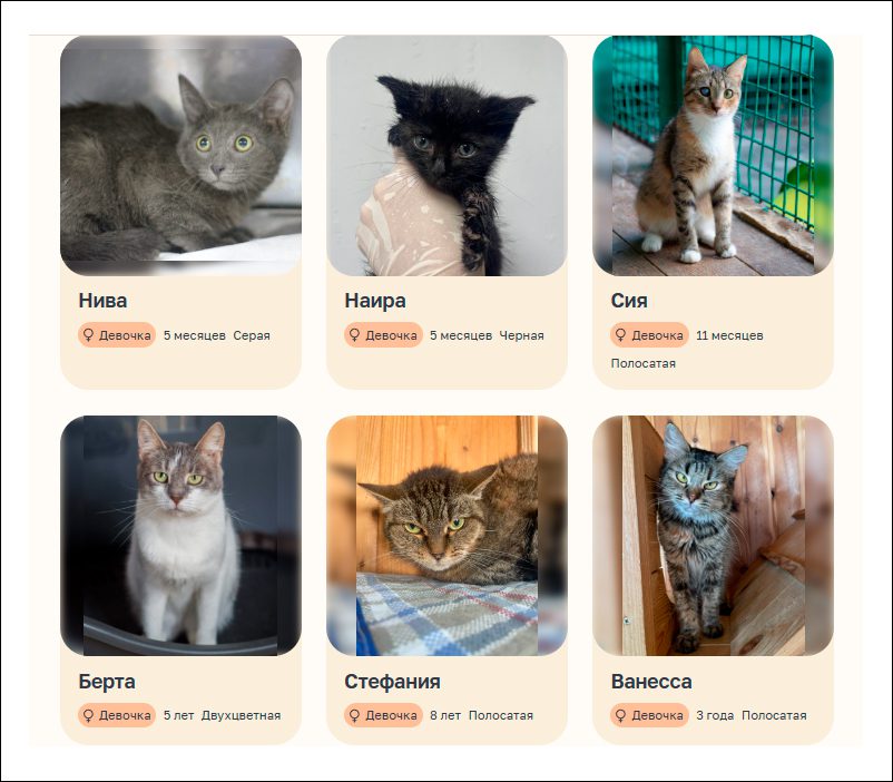 Выдача результатов по запросу «палевый котёнок».