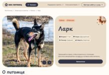 На mos.ru заработал сервис по выбору домашнего животного из приюта Скриншот сайта pets.mos.ru