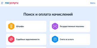 Скриншот ЕПГУ