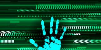 Фото (с) freepik/titima037