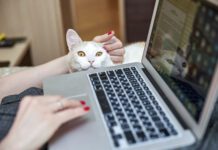 Ноутбук клавиатура. Фото (с) mos.ru