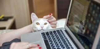 Ноутбук клавиатура. Фото (с) mos.ru