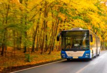 Фото (с) freepik/pvproductions