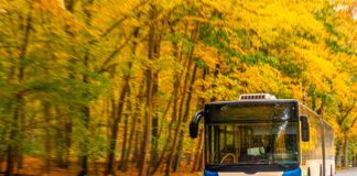 Фото (с) freepik/pvproductions