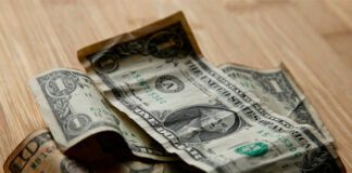 Фото (с) freepik/wirestock