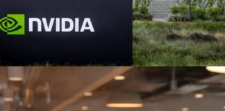 Логотипы Nvidia и TikTok