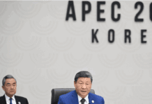 КНР выступила за создание Всемирной организации сотрудничества в области ИИ Фото (с) gov.cn