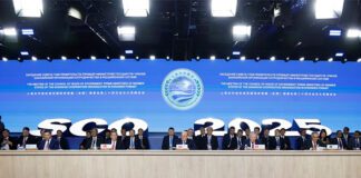 Фото (с) Правительство РФ