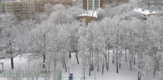 зима снег. Фото (с) Татьяна Барышева