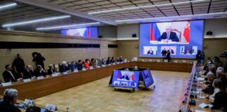 Заседание Совета по развитию гражданского общества и правам человека (в режиме видеоконференции). Фото: Михаил Терещенко, ТАСС