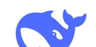 Логотип DeepSeek