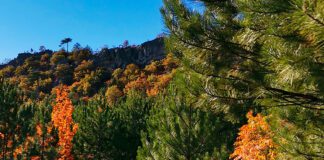 Фото (с) D-Russia.ru