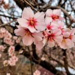 Фото (с) D-Russia.ru