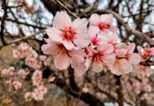 Доверенное ПО, новые требования ФСТЭК, русский язык на вывесках и другие законодательные изменения марта 2026 Фото (с) D-Russia.ru