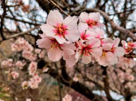 Фото (с) D-Russia.ru