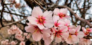 Фото (с) D-Russia.ru