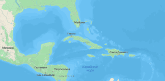 Фото (с) https://yandex.ru