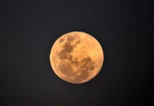 Фото (с) https://imgix.bustle.com