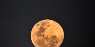 Фото (с) https://imgix.bustle.com