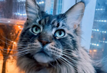 Фото (с) Юлия Короткова