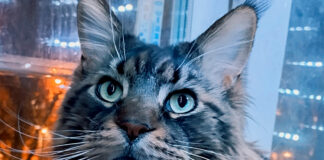 Фото (с) Юлия Короткова