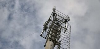 Булат. Фото (с) Ростелеком