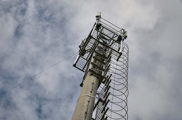 Булат. Фото (с) Ростелеком