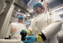 Фото (с) english.cas.cn