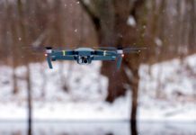 Фото (с) freepik/benwhitephotography