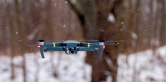 Фото (с) freepik/benwhitephotography