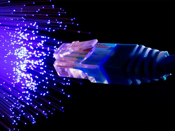 Фото (с) freepik