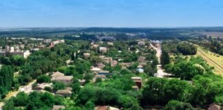 Земля деревня (с) Росреестр