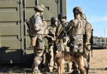 ЕС решил создать собственную платформу обмена данными для военных без участия США Фото (с) eda.europa.eu