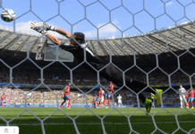 футбол спорт (с) Fifa