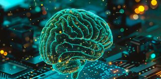 Фото (с) freepik