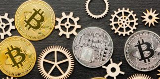 Фото (с) freepik