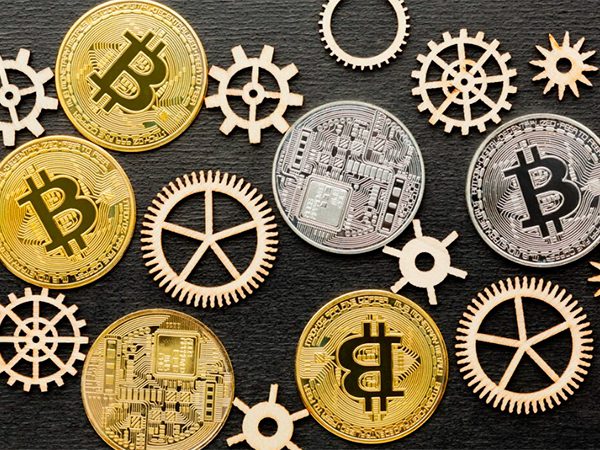 Фото (с) freepik