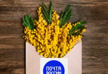 Коллаж D-Russia.ru