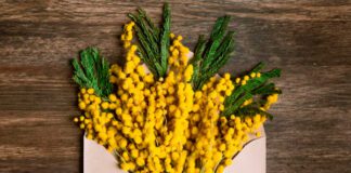 Коллаж D-Russia.ru