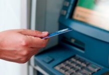 Фото (с) freepik/Dragana_Gordic