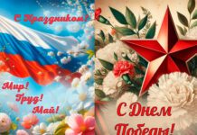 Коллаж D-Russia.ru