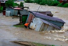 Фото (с) lospet.ru